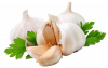 garlic.png