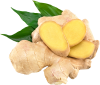 ginger.png