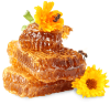 honey.png